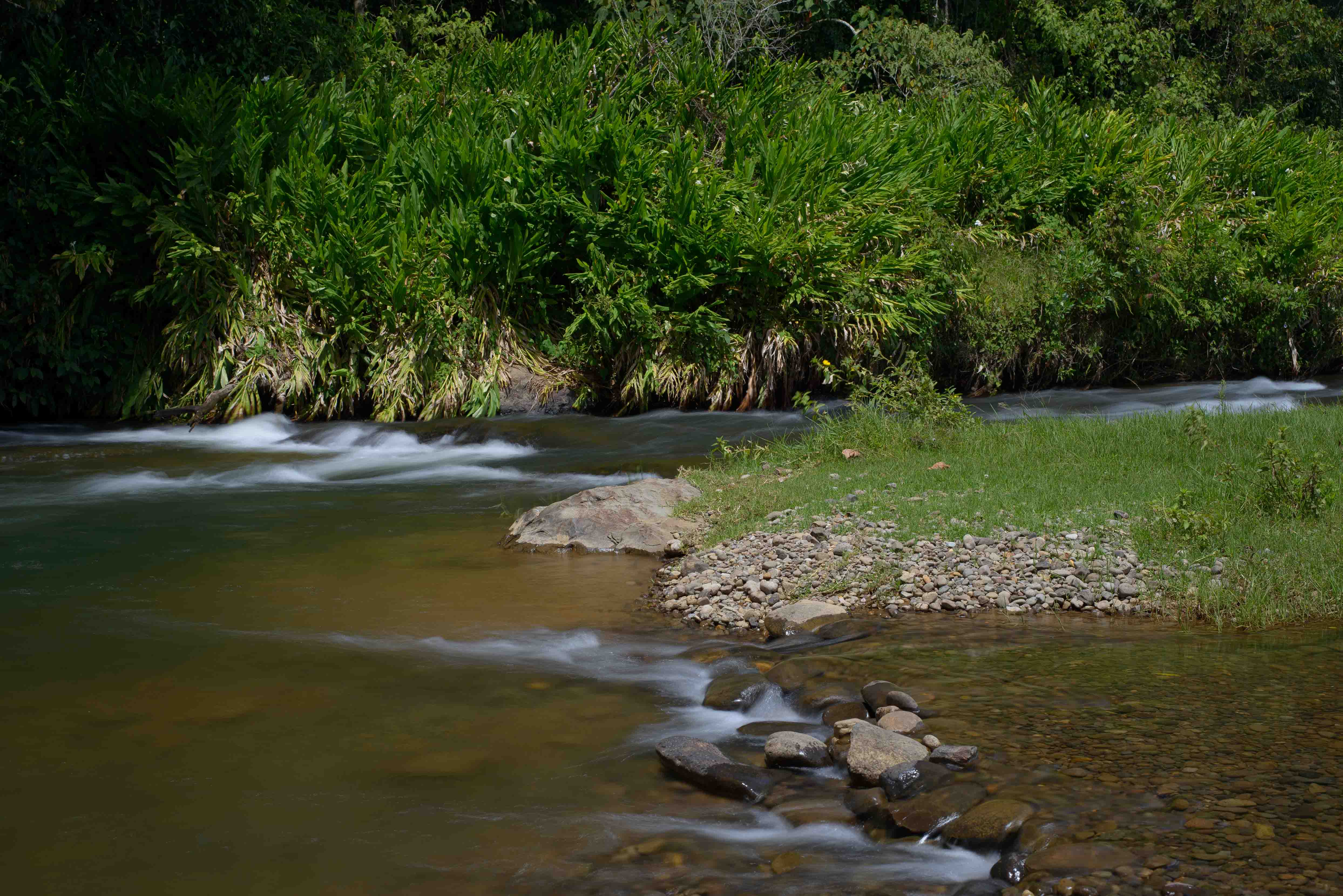 11 Río Frío Támesis Colombia